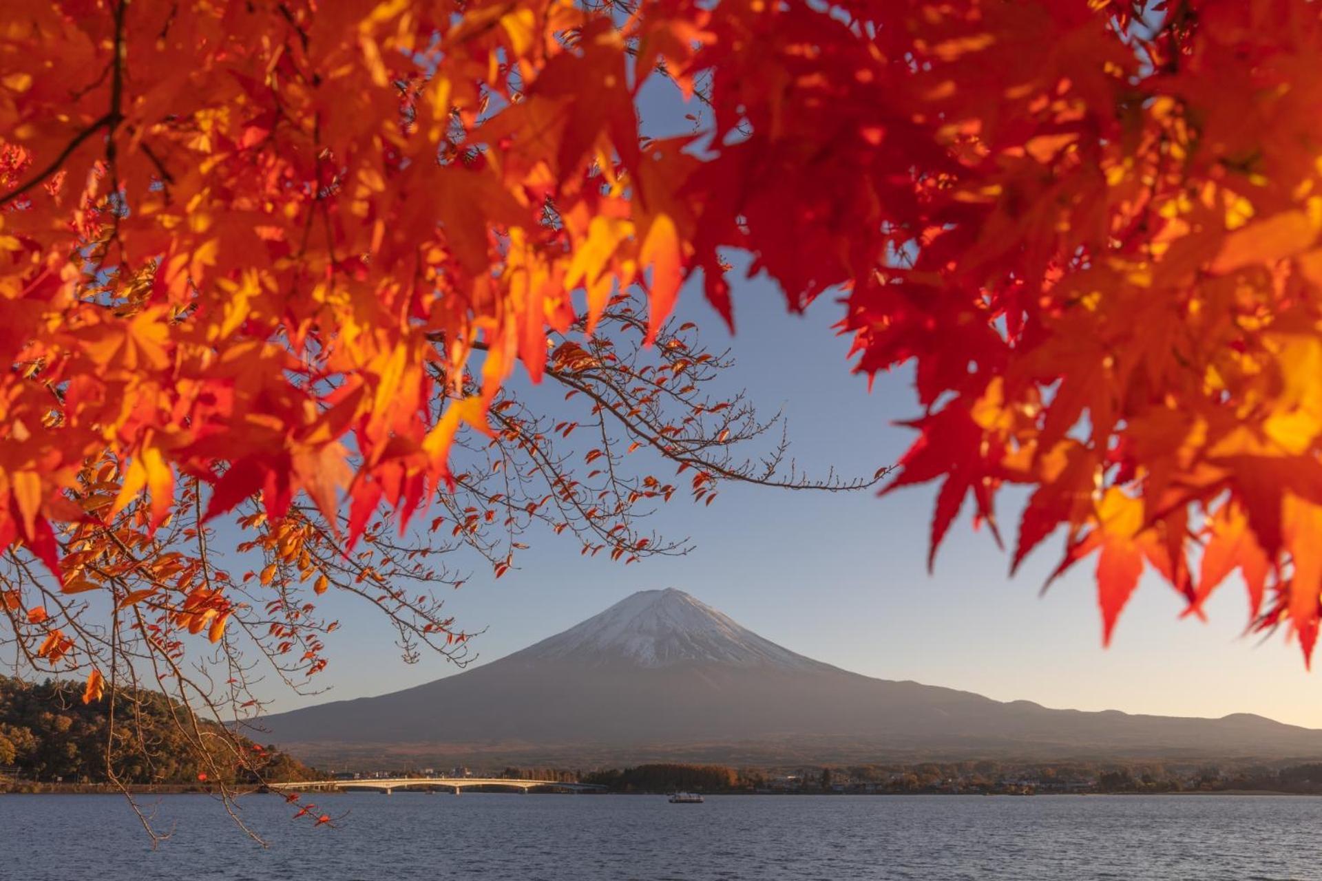 Holiday Home Furinkazan 風林火山 Fujikawaguchiko Extérieur photo